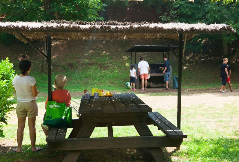 barbacoa camping