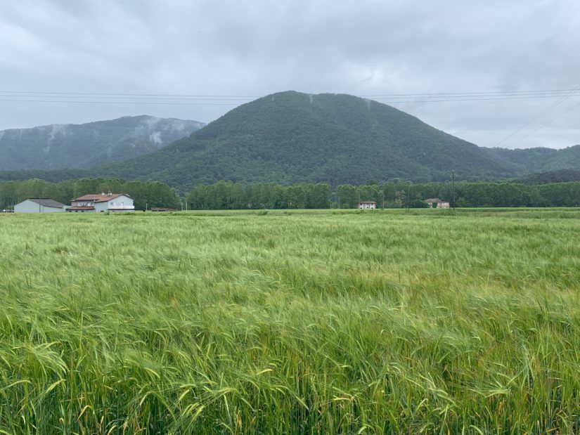 Los Volcanes de la Garrotxa cercanos a Camping Lava