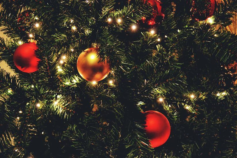 navidad camping garrotxa, camping lava actividades